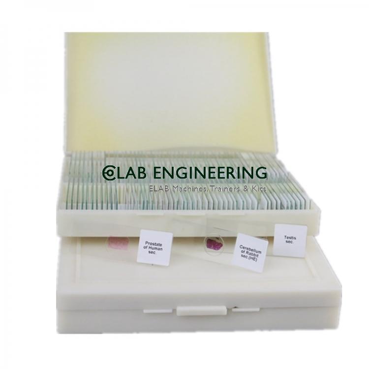 Plastic Prepared Slides