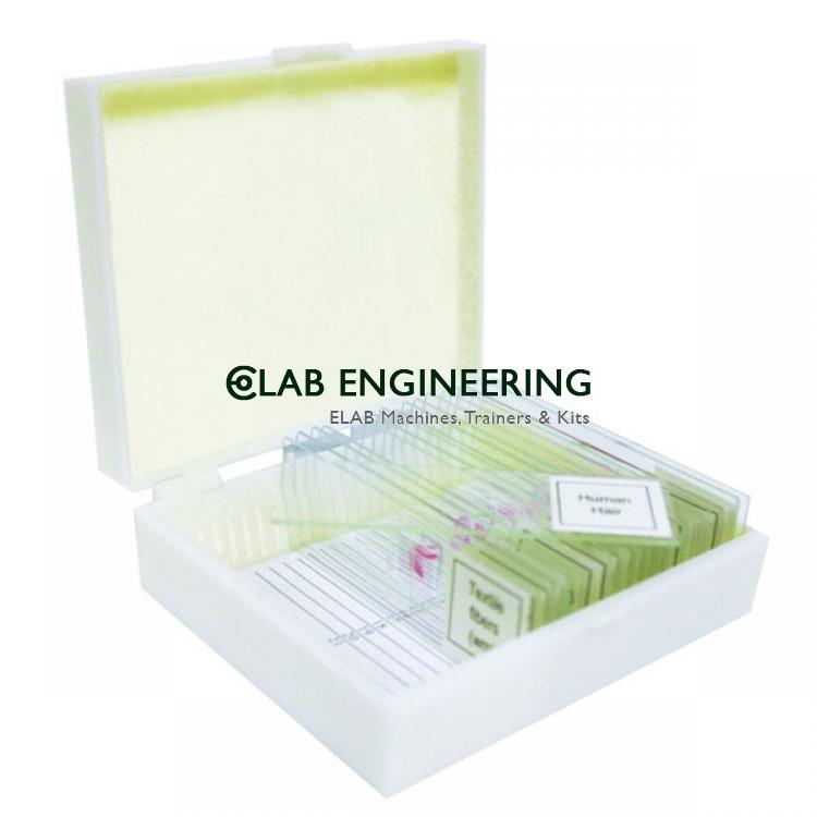 Small Organisms Prepared Slide